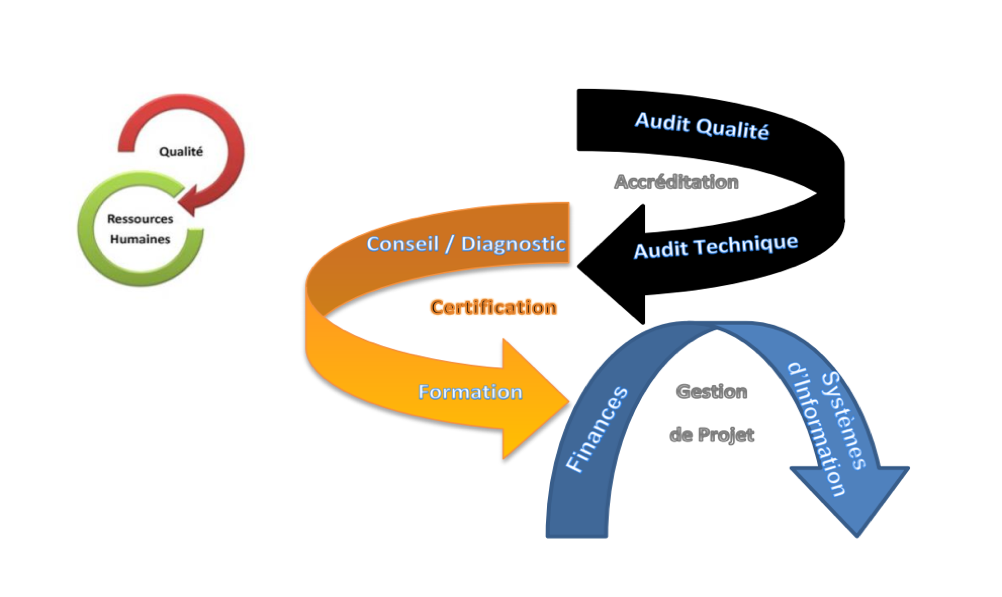 schema activitées